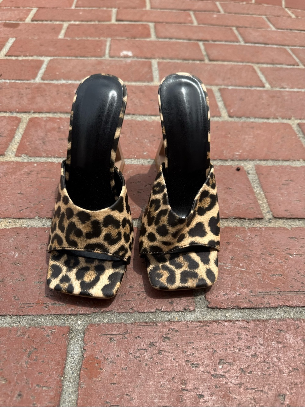 Fashion Nova Leopard Print Slide Mules - Black & Tan